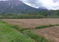 Terreno all'asta a Ponte Nelle Alpi (BL)