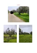 Terreno all'asta a Castelvetrano (TP)