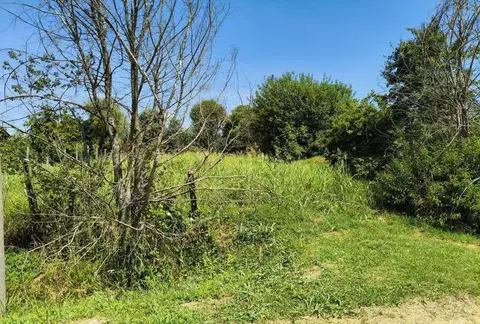 Terreno all'asta a Megliadino San Vitale (PD)