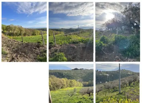 Terreno all'asta a Moscufo (PE)