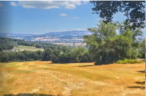 Terreno all'asta a Monte Castello di Vibio (PG)