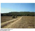 Terreno all'asta a Trinità D'Agultu e Vignola (SS)