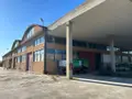 Opifici all'asta a Bientina (PI)