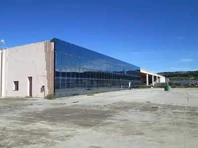 Fabbricati Costruiti Per Esigenze Industriali all'asta
