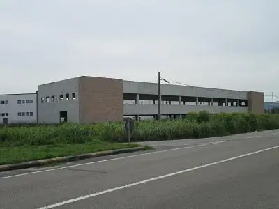 Fabbricati Costruiti Per Esigenze Industriali all'asta a Santa Giusta (OR)