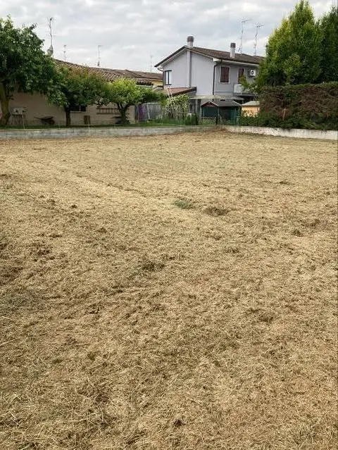 Terreno all'asta a Curtatone (MN)