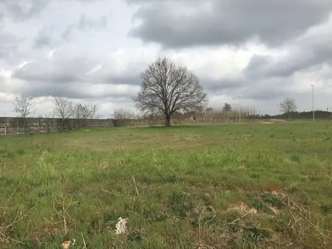 Terreno all'asta a Canneto Sull'Oglio (MN)
