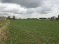 Terreno all'asta a Canneto Sull'Oglio (MN)